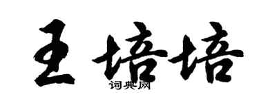 胡问遂王培培行书个性签名怎么写