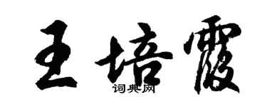 胡问遂王培霞行书个性签名怎么写