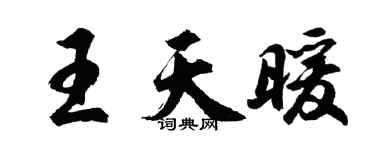 胡问遂王天暖行书个性签名怎么写