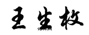 胡问遂王生枚行书个性签名怎么写