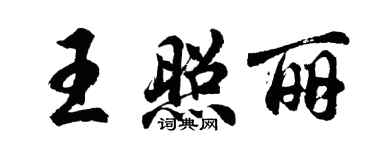 胡问遂王照丽行书个性签名怎么写