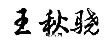胡问遂王秋骁行书个性签名怎么写