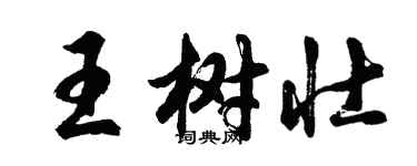 胡问遂王树壮行书个性签名怎么写