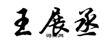 胡问遂王展丞行书个性签名怎么写
