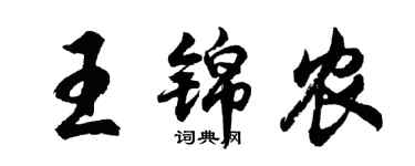 胡问遂王锦农行书个性签名怎么写
