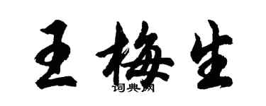 胡问遂王梅生行书个性签名怎么写