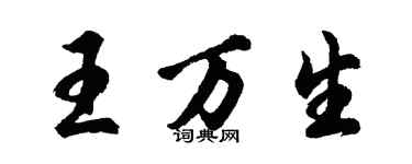 胡问遂王万生行书个性签名怎么写