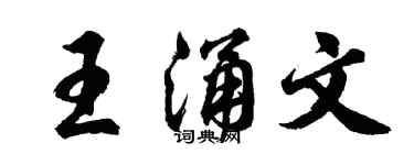 胡问遂王涌文行书个性签名怎么写