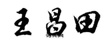 胡问遂王昌田行书个性签名怎么写
