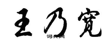 胡问遂王乃宽行书个性签名怎么写