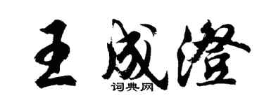胡问遂王成澄行书个性签名怎么写