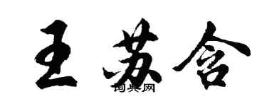 胡问遂王苏含行书个性签名怎么写