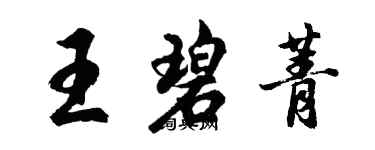 胡问遂王碧菁行书个性签名怎么写