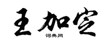 胡问遂王加定行书个性签名怎么写