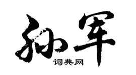 胡问遂孙军行书个性签名怎么写