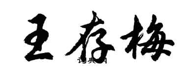 胡问遂王存梅行书个性签名怎么写
