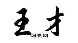 胡问遂王才行书个性签名怎么写