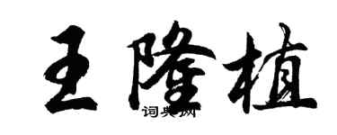 胡问遂王隆植行书个性签名怎么写