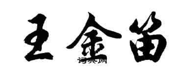 胡问遂王金笛行书个性签名怎么写