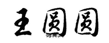 胡问遂王圆圆行书个性签名怎么写