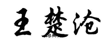 胡问遂王楚沧行书个性签名怎么写