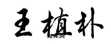 胡问遂王植朴行书个性签名怎么写