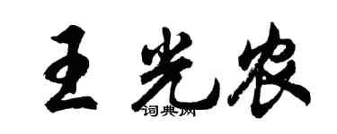 胡问遂王光农行书个性签名怎么写