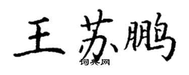 丁谦王苏鹏楷书个性签名怎么写