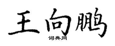 丁谦王向鹏楷书个性签名怎么写