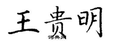 丁谦王贵明楷书个性签名怎么写