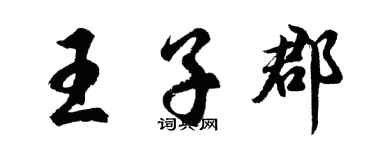 胡问遂王子郡行书个性签名怎么写