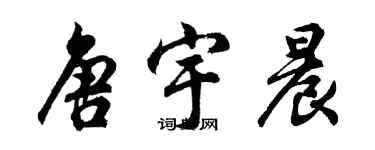 胡问遂唐宇晨行书个性签名怎么写