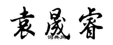 胡问遂袁晟睿行书个性签名怎么写