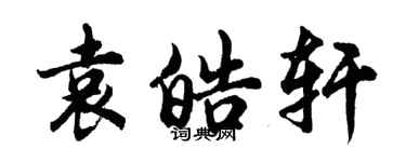 胡问遂袁皓轩行书个性签名怎么写
