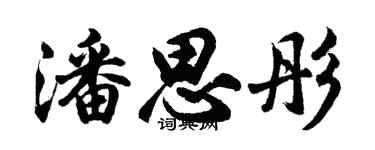 胡问遂潘思彤行书个性签名怎么写