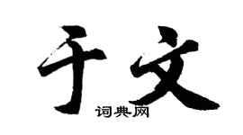 胡问遂于文行书个性签名怎么写