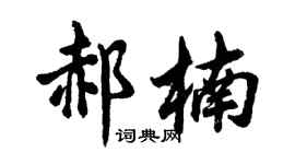 胡问遂郝楠行书个性签名怎么写