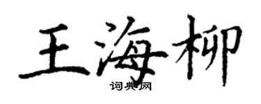 丁谦王海柳楷书个性签名怎么写