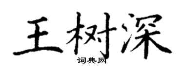 丁谦王树深楷书个性签名怎么写