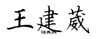 丁谦王建葳楷书个性签名怎么写