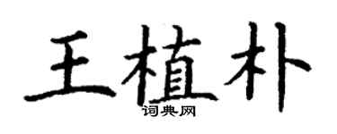 丁谦王植朴楷书个性签名怎么写