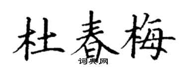 丁谦杜春梅楷书个性签名怎么写