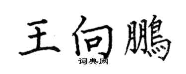 何伯昌王向鹏楷书个性签名怎么写