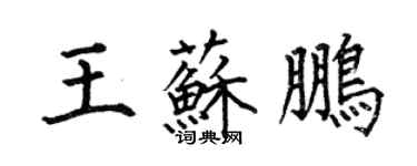 何伯昌王苏鹏楷书个性签名怎么写