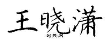 丁谦王晓潇楷书个性签名怎么写