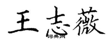 丁谦王志薇楷书个性签名怎么写