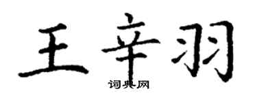 丁谦王辛羽楷书个性签名怎么写