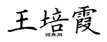 丁谦王培霞楷书个性签名怎么写