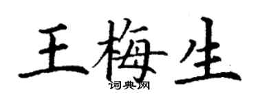 丁谦王梅生楷书个性签名怎么写