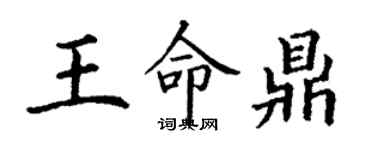 丁谦王命鼎楷书个性签名怎么写